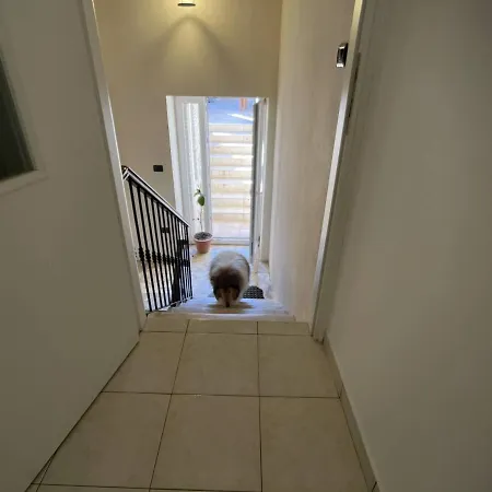 Apartment Igor